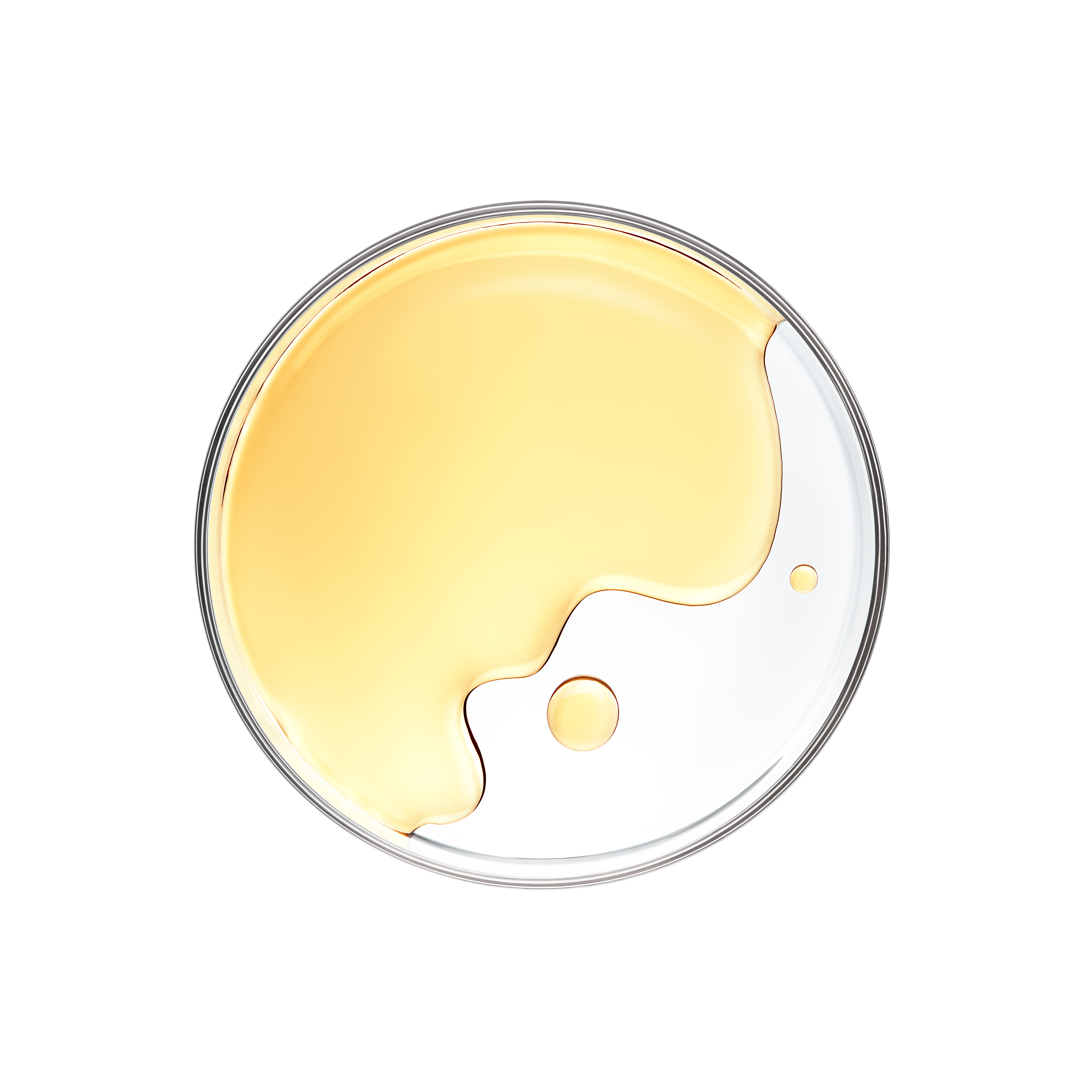Honey in petri dish over white background - flat lay
