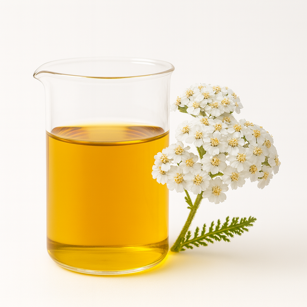 Achillea Millefolium (Yarrow) Extract